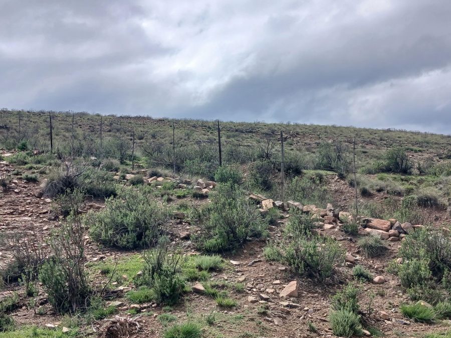 0 Bedroom Property for Sale in Richmond Rural Northern Cape